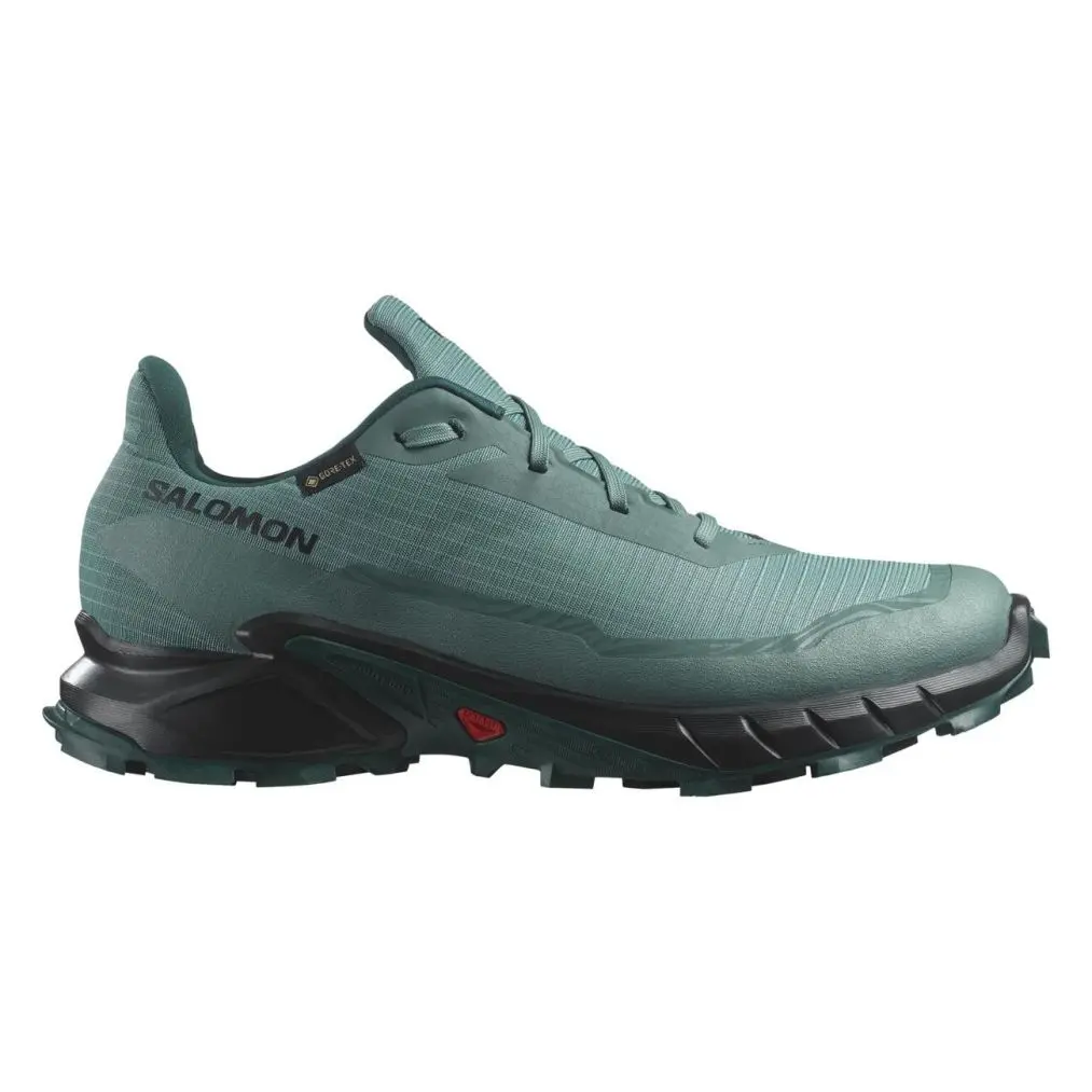 ALPHACROSS 5 GORE-TEX Pantofi pentru alergare montana, Barbati
