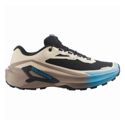 GENESIS 2 GTX
