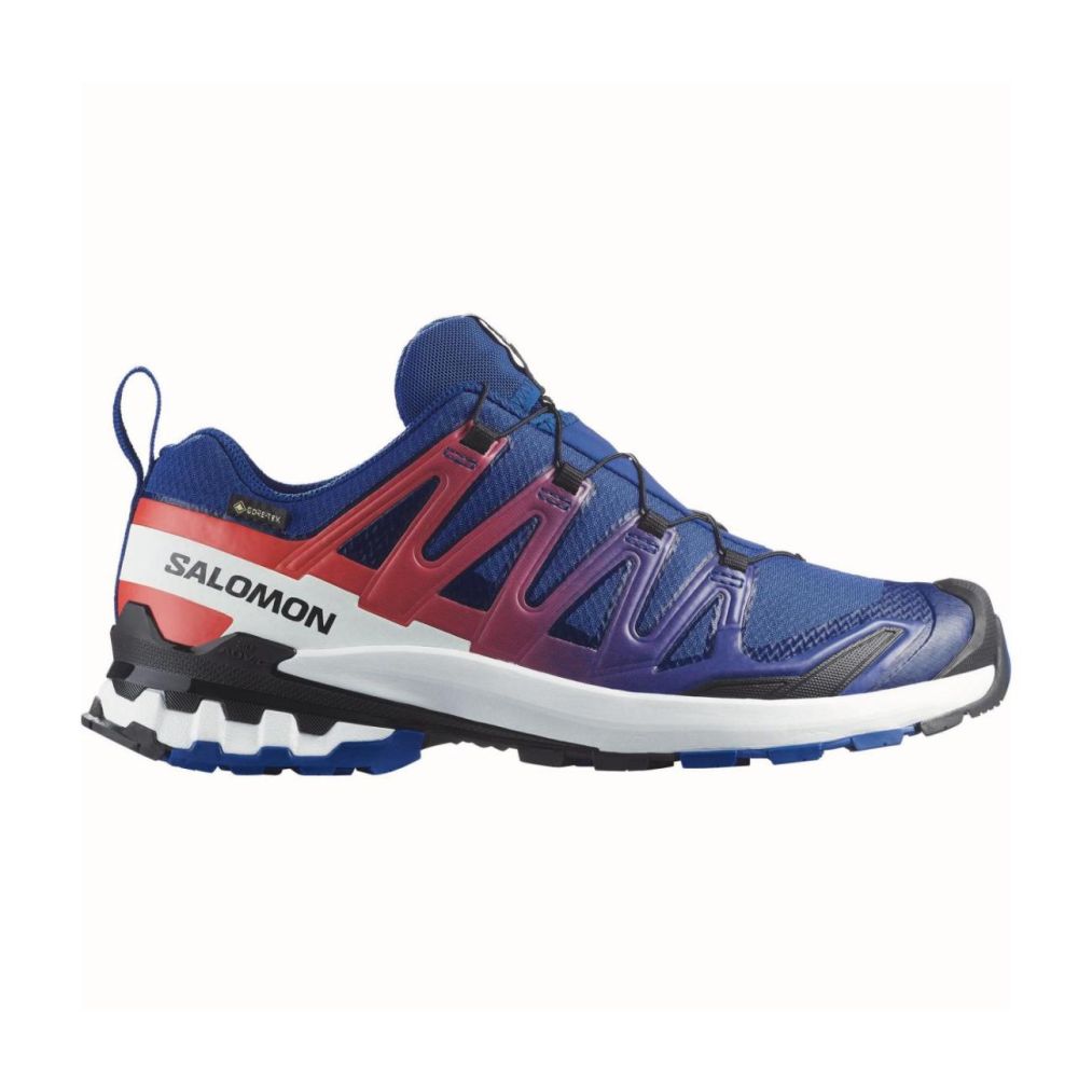 XA PRO 3D V9 GORE-TEX EQUIPE-0