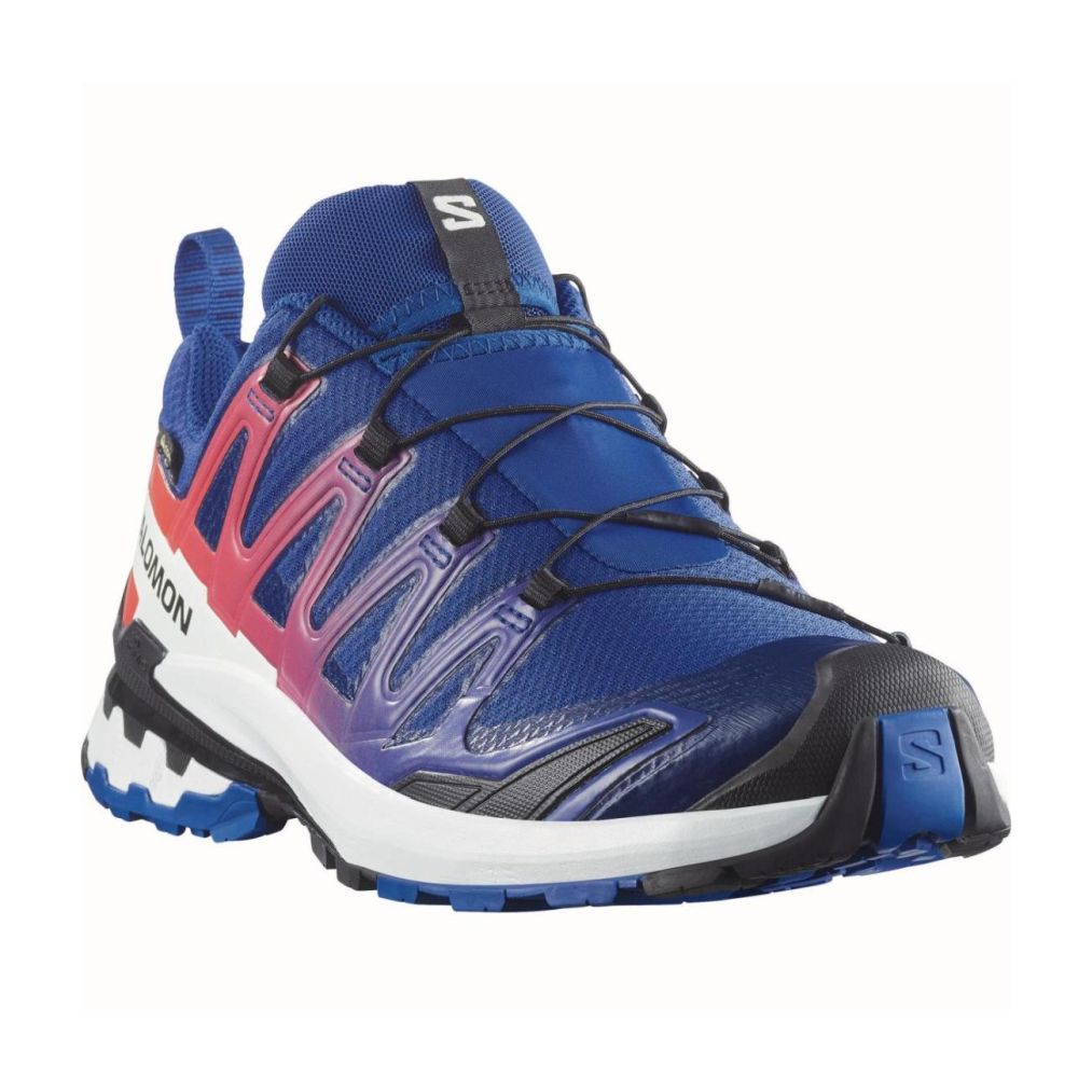 XA PRO 3D V9 GORE-TEX EQUIPE-4