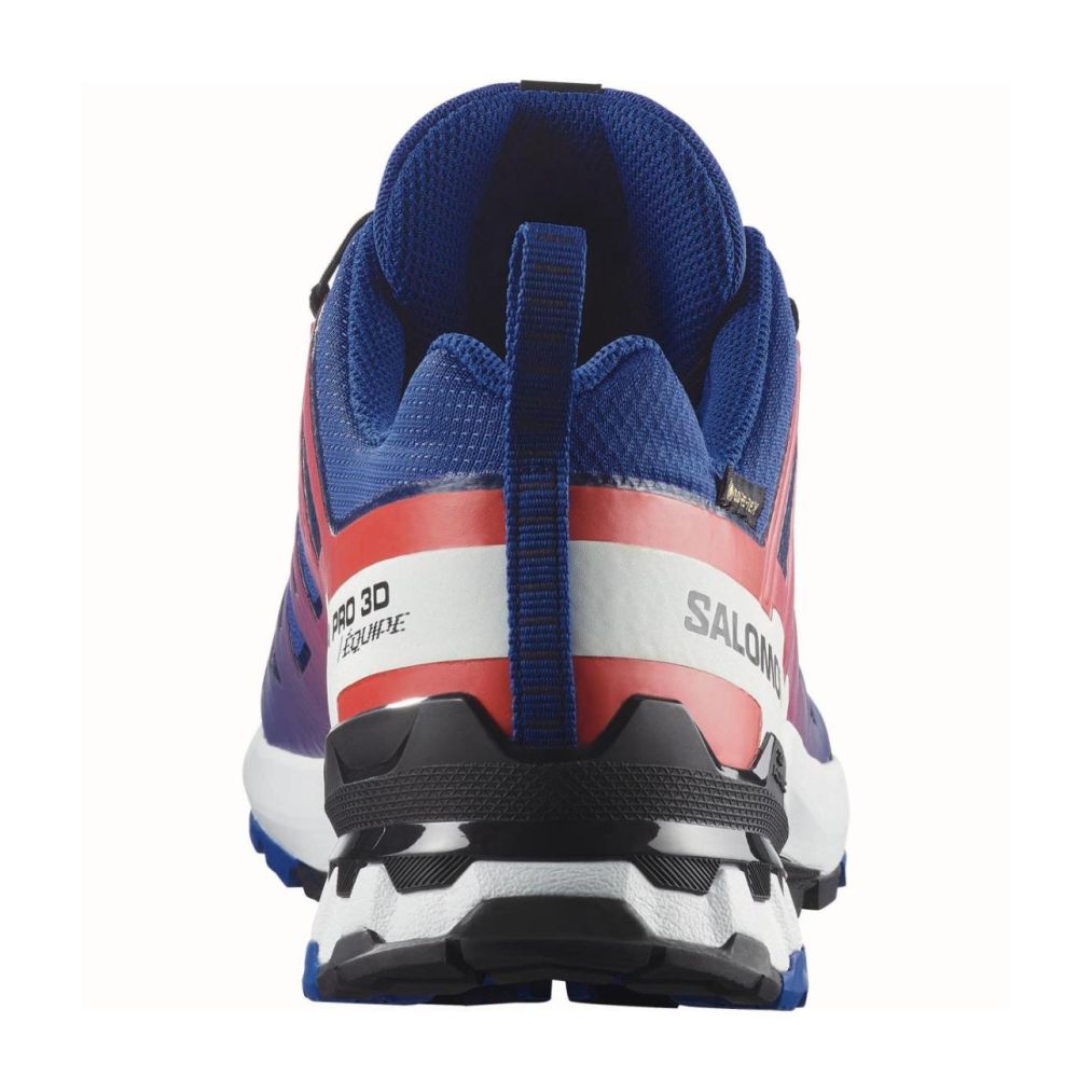 XA PRO 3D V9 GORE-TEX EQUIPE-3
