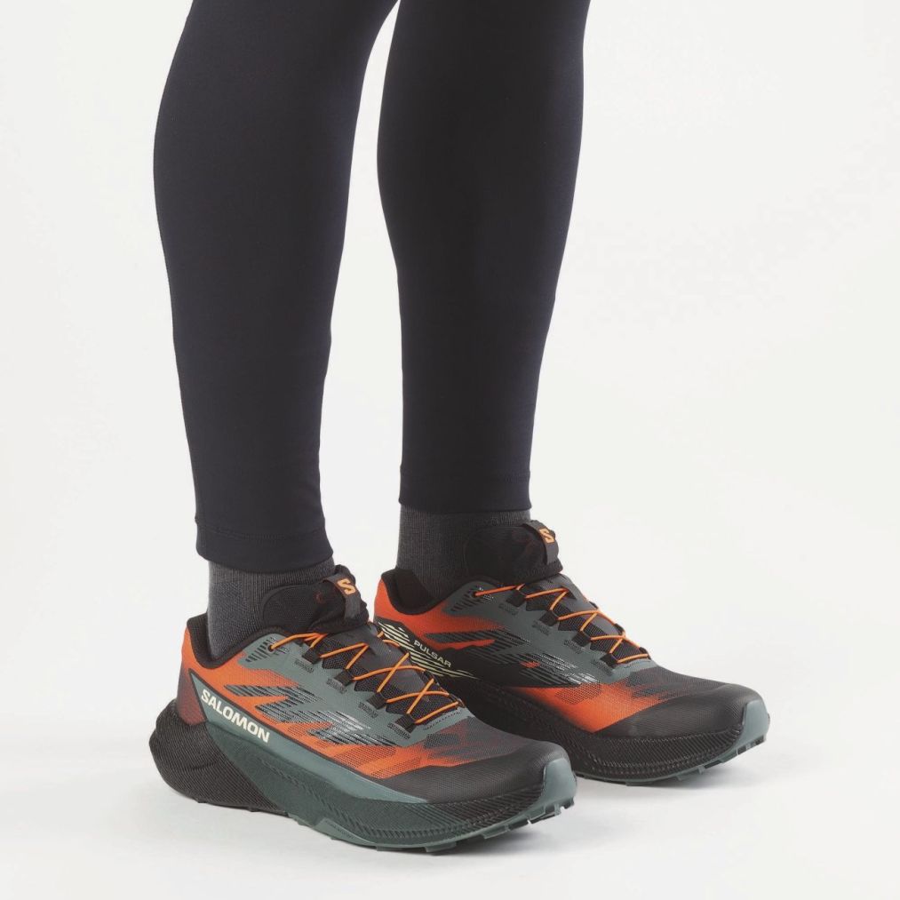PULSAR QUIVER-6