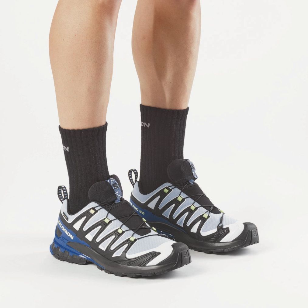 XA PRO 3D V9 GORE-TEX STORM-6
