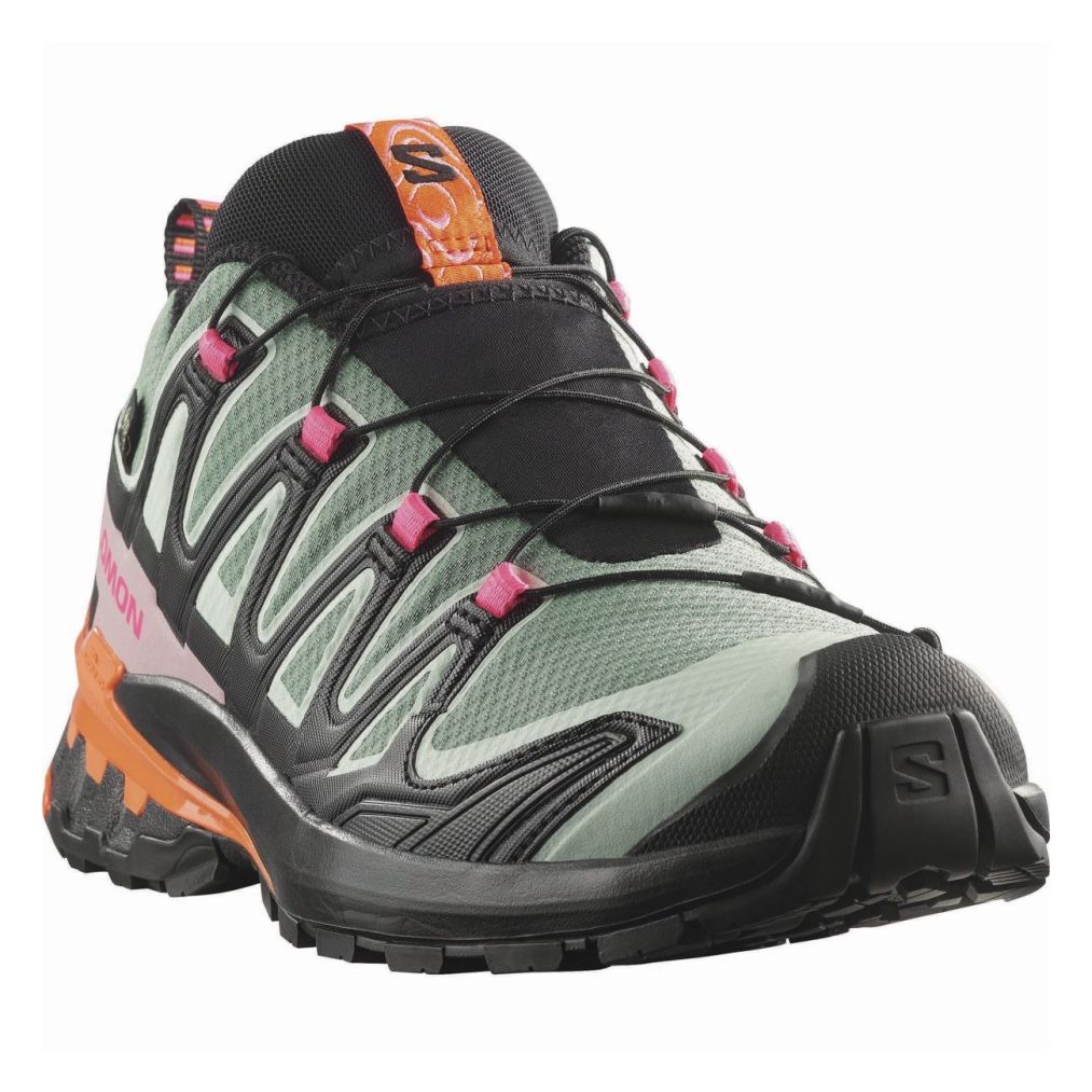 XA PRO 3D V9 GORE-TEX STORM-4