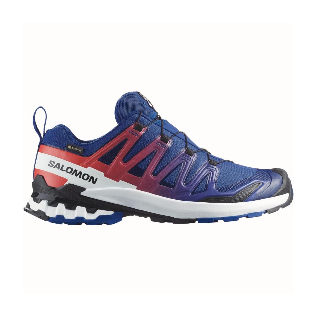 XA PRO 3D V9 GORE-TEX EQUIPE