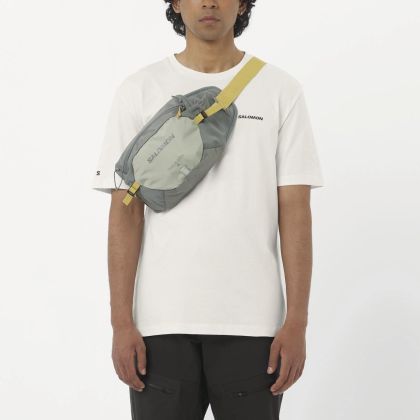 SALOMON LOGO - LC13536$ primary