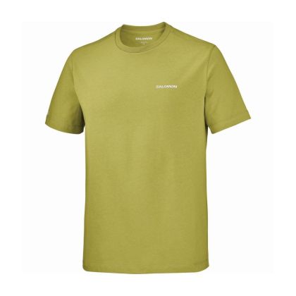 SALOMON LOGO