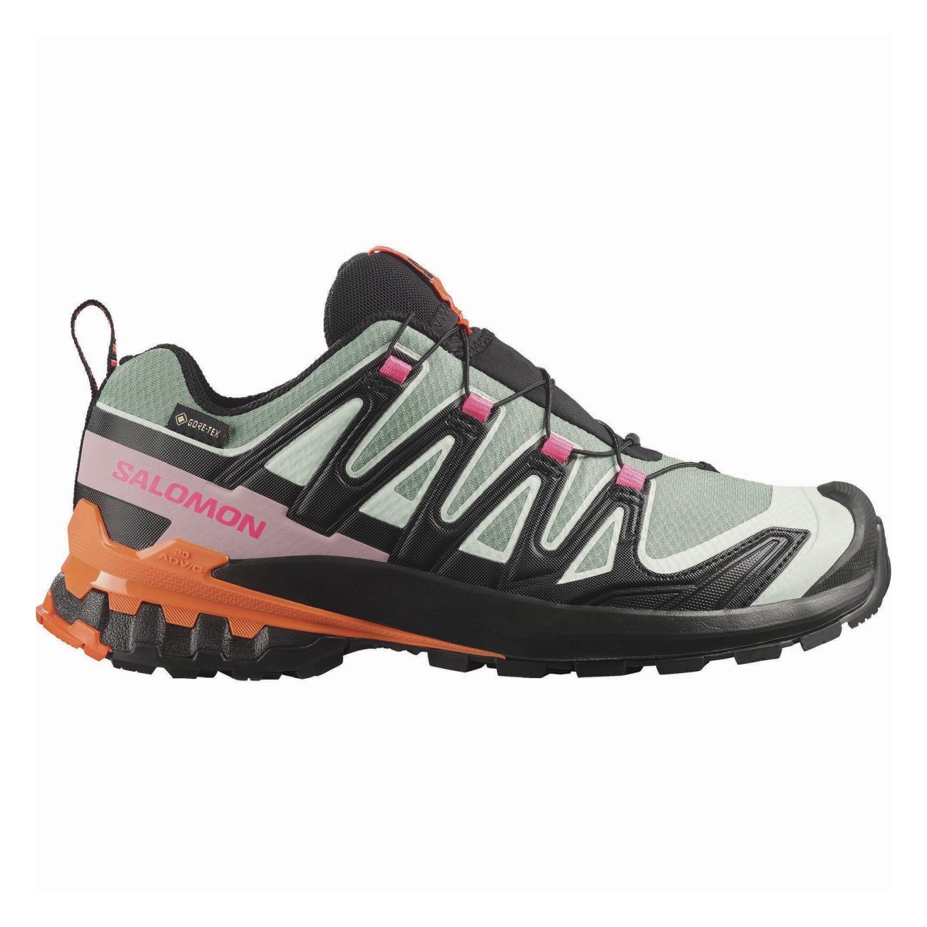XA PRO 3D V9 GORE-TEX STORM