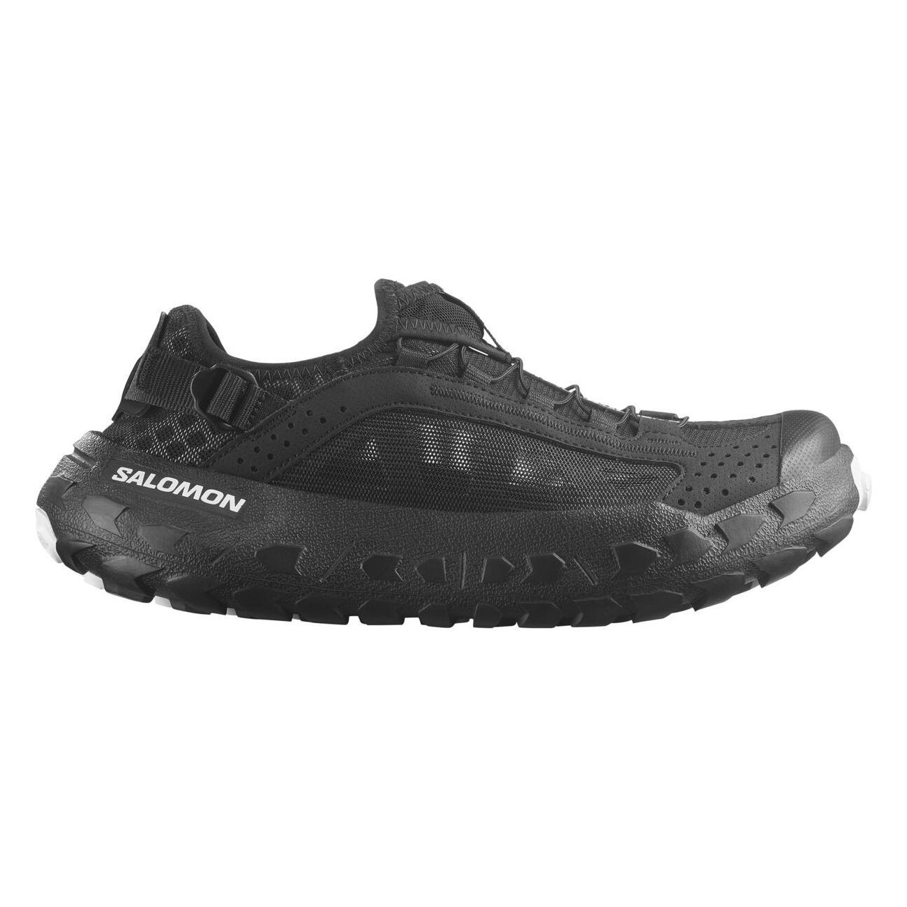 SOLAMPHIBIAN