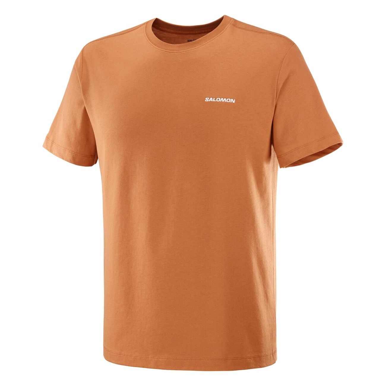 SALOMON LOGO