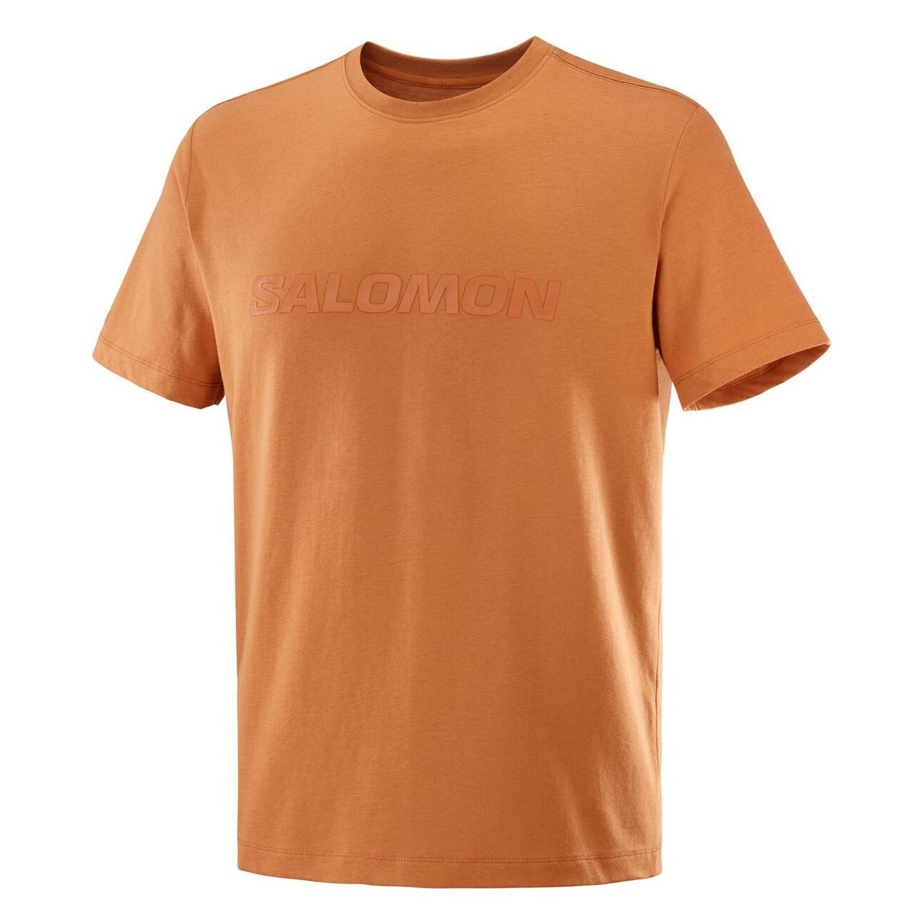SALOMON BIG LOGO