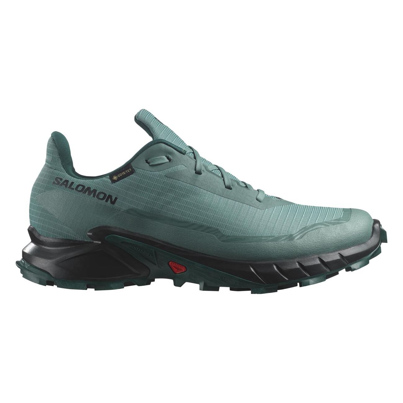 ALPHACROSS 5 GORE-TEX Pantofi pentru alergare montana, Barbati